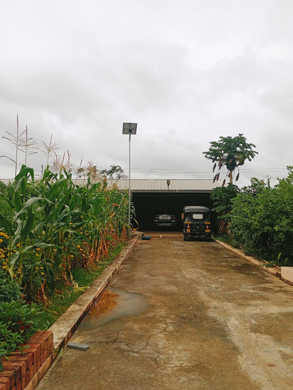 SOLAR STREET LIGHT image 3